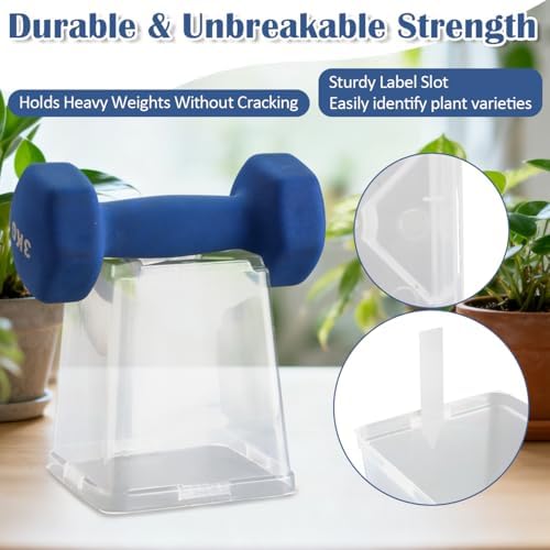 RooTrimmer 5.5 Inch Clear Square Nursery Pots with Drainage & Labels, 30Pcs Reusable Seed Starter Pots for Vegetables, Indoor Outdoor Gardening, Thick Transparent Plastic Plant Pots for Seed Starting - Image 5