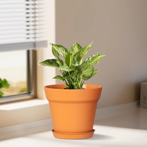 WSMKSZ 5 Inch Plastic Plant Pots with Drainage Holes and Trays – 6 Pack Small Nursery Pots for Indoor & Outdoor House Plants and Flowers, Seedling Starter Planters, Terracotta - Image 2