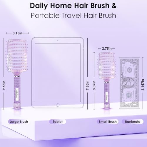 Hair Brush Set, Large & Small Curved Vented Hair Brushes for Women Men Kids, Home & Travel Use, Fast Blow Drying Detangler Brush, Pain-Free Scalp Massage for Thick Curly Fine Wet Dry Hair (Purple) - Image 2