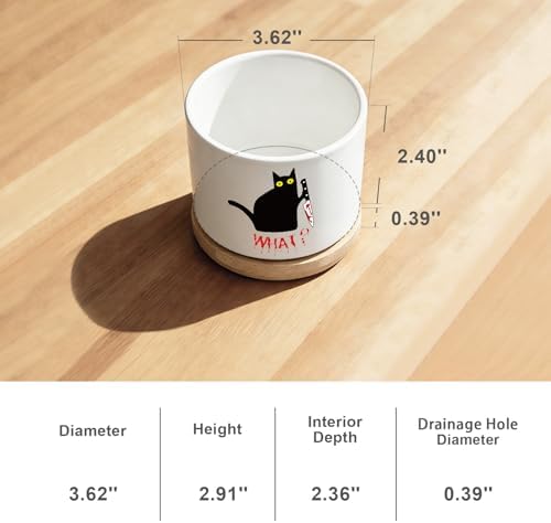 Funny Hello Black Cat Ceramic Plant Pot for Succulent, Cute Cat Cactus Flower Planter for Windowsill Indoor Decor, Home Office Decoration for Plant Lovers Friends Owner Lover (No Plants) (What) - Image 5