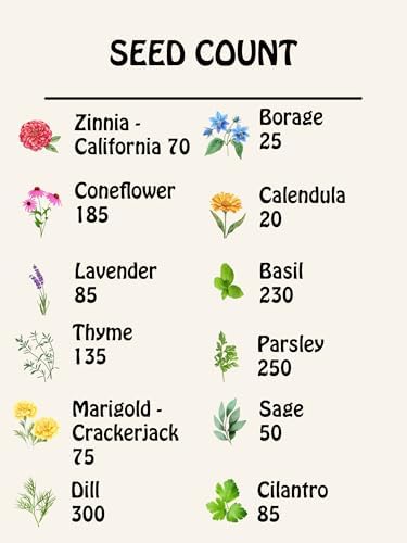 Medicinal Herb and Flower Set - 12 Varieties of Non-GMO & Heirloom Flowers and Herbs - Basil, Cilantro, Calendula, Lavender, Sage, & More! - Image 3
