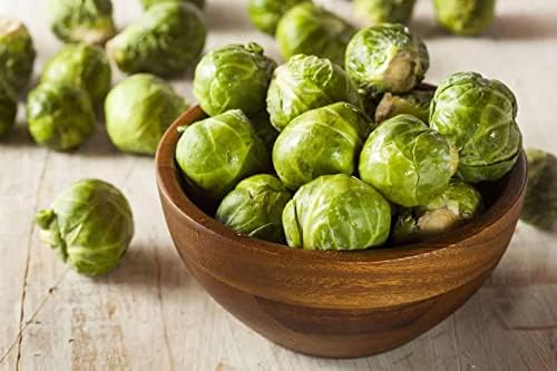 300+ Seeds Long Island Brussels Sprouts Cabbage - Vegetable Green - Image 6