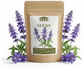 Blue Sage Seeds for Planting, 2000 Salvia Farinacea Wildflower Seeds, Sage Seed for Planting Perennial Gardens, Attract Hummingbirds and Butterflies Naturally by Unknown