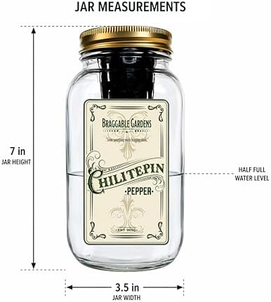 Salsa Garden Mason Jar Grow Kit (3 Pack) – Tiny Tim Tomato, Lemon Cilantro & Chiltepin Pepper – Indoor Hydroponic Herb & Vegetable Grow Kit – Windowsill Salsa Ingredient Garden - Image 5