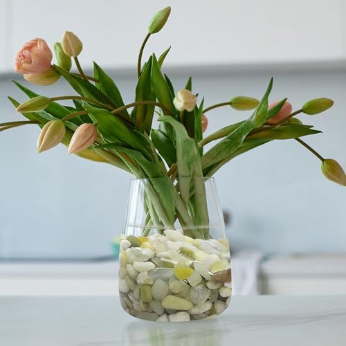 2LB Succulent Jade Pebbles for Indoor Plants, 3/8 Inch Natural Decorative Polished Stones, River Rocks for Landscaping,Vase, Flowerpot Decoration, Indoor Decoration and Garden Decoration - Image 5