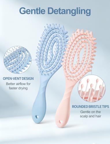 HIPPIH 2 Pack Hair Brush - Wet Dry Detangler Brush, Hair Brushes for Women - Image 3