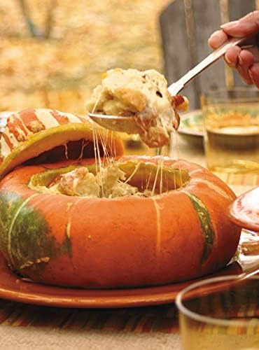 Turk's Turban Pumpkin Seeds - 40+ Count Packet - for 2024 Girauman French Cap Hat Rainbow Winter Squash Gourd Fall Vegetable Seed - Image 6