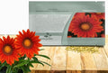 Outsidepride New Day Bronze Gazania Seeds for Planting – 50 Pcs Perennial, Low-Maintenance, Drought-Tolerant Ground Cover Seeds for Vibrant Summer & Fall Flowers, Great for Outdoor Gardens by Outsidepride