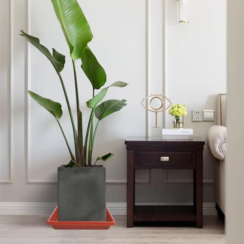 Square Plant Saucer 10 Inch 4 Pack, Plant Drip Trays and Flower Pot Saucers，Doubles Plant Water Catcher Tray, Plant Trays for Indoors No Holes, Plant Drainage Tray Saucers for Potted Plants - Image 7