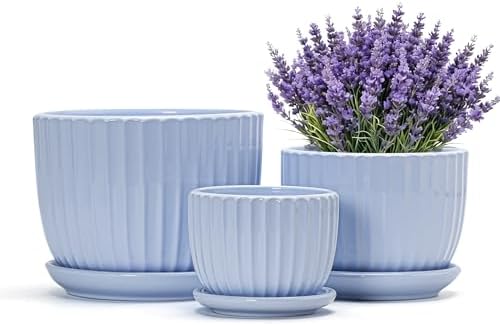 Flower Pots，Ceramic Pots with Drainage Holes & Saucers Set of 3(Sky Blue) by TonSin