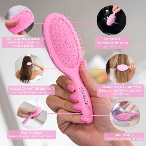 FRAMAR Mini Hair Brush Detangler, Mini Brush For Hair, Compact For Travel - Image 2