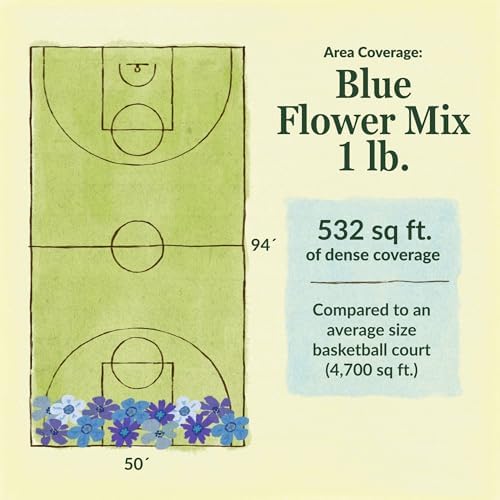 Ferry-Morse Blue Bulk Wildflower Seeds, 100,000+, 1 lb - Image 6