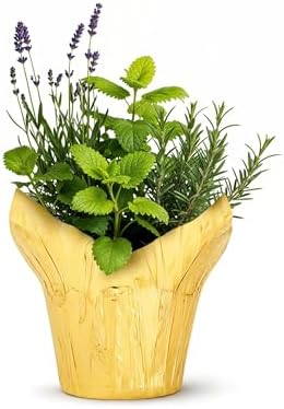 Herb Combo - Sleep Aid, Lavender, Rosemary & Lemon Balm, Aromatic Plant Collection in Deco Cover, 12" Tall by 6" Wide in 1.25 Qt Pot by TheThreeCompany