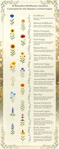 Western Wildflower Seed Mix – 16 Regionally Adapted Species for Colorado, Idaho, Montana, Wyoming, Utah & More – Pollinator Friendly Non-GMO Wildflower Seeds – 1/4lb Covers Up to 800 Sq Ft - Image 4