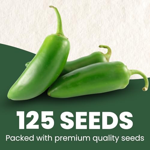 Jalapeno Pepper – 125 Premium Seeds for Planting – Spicy, Productive, Garden-Favorite Heirloom for the 2026 Season – 1 Gram Pouch - Image 2