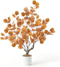 Caxchiling Artificial Fall Eucalyptus Tree 2FT, Faux Potted Tree Indoor by Caxchiling