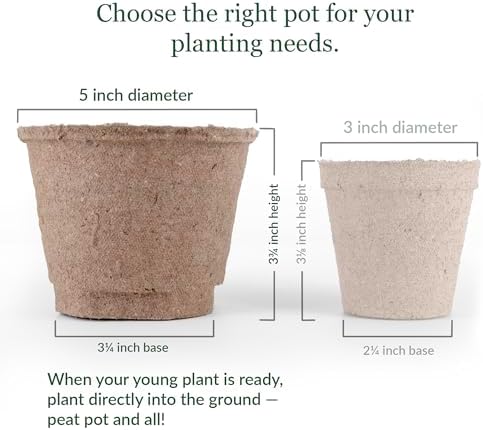 Jiffy Biodegradable Peat Pots for Seedlings, 5 Inch, 100 Pack - Image 4