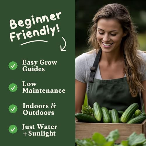 Organic Non-GMO Vegetable Seeds for Planting (Marketmore Cucumber) - Image 4