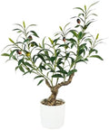 Caxchiling Artificial Olive Tree 2FT, Faux Potted Tree Indoor by Caxchiling