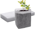 GREANER 12.6"x13.4" Seedling Bags, 25Pcs Nursery Growing Bags for Growing Vegetables, Fabric Pots for Seed Planting Succulents Vegetable Flower Potato Tomato by GREANER