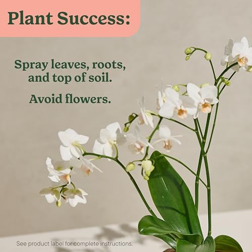Miracle-Gro Indoor Plant Food Mist for Orchids, 8 fl. oz., 2 Count (Pack of 12) - Image 6