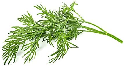 Click and Grow Smart Garden Dill Plant Pods, 3-Pack - Image 2