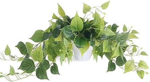 Tiita Artificial Pothos Plant in Pot, 1 Pack for Desk and Shelf Decor by TiitaHome