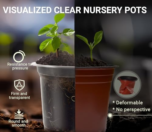 30 Pack Clear Nursery Plant Pots, 3.5/4/5 In with Drainage Holes, 20 Labels - Image 3