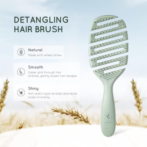 Detangler Hairbrush, Soft Bristle Detangling Brush, Quick Smoothing (Green) - Image 2