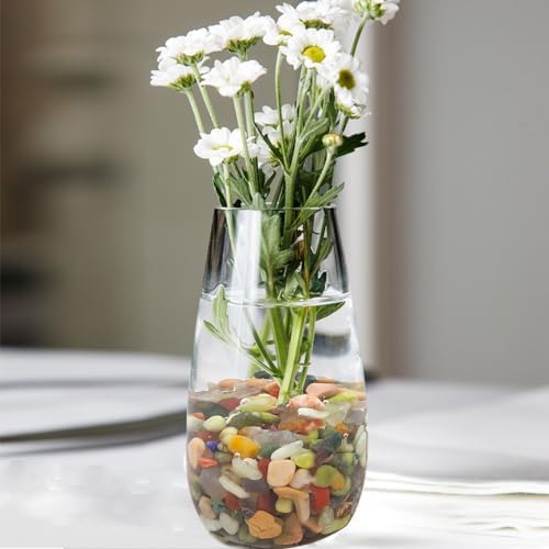 FANTIAN 10 lbs Small Succulent Rocks, 3/8 Inch Colorful Polished Pebbles for Indoor Plants. Decorative Rocks for Plants Indoor, Vases, Planters Aquarium and Outdoor Landscaping Garden - Image 4