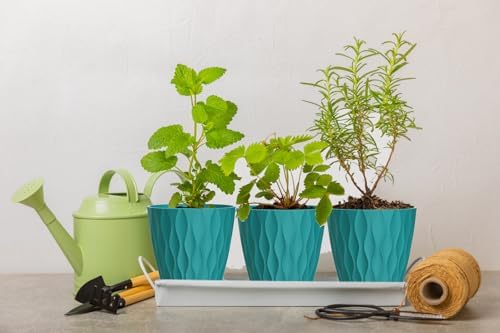 6 Inch Plant Pots, 6 Pack Indoor Flower Pots, Planters with Drainage Holes and Trays for Orchids, Violets, Succulents, Herbs, and Other Plants,Blue-Green - Image 5