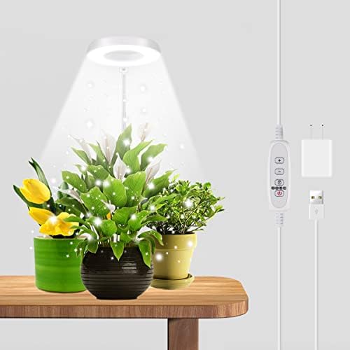 Halo Plant Grow Light, 6000K White LED Full Spectrum Growing Lamp for Indoor Plants, Succulents, Mini Bonsai, Small Plants, Height Adjustable, Dimmable & Timer 4/8/12/18Hrs by GYTF
