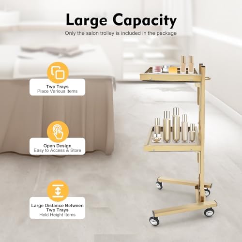 2 Tier Metal Rolling Cart, Folding Salon Tray Trolley, Mobile Storage Tray Cart with Wheels, Rolling Tray Salon Trolley Beauty Hair LashMayo Stand (Silver) - Image 2