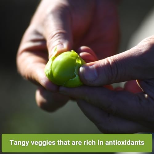Sow Right Seeds - Tomatillo Seed Collection for Planting Vegetable Garden - Image 3
