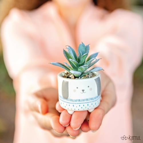 Karma, Shaped Artificial Succulents in Ceramic Pot, Faux Mini Succulent Plant, Desk Decor, Office Plants - Lemon - Image 6
