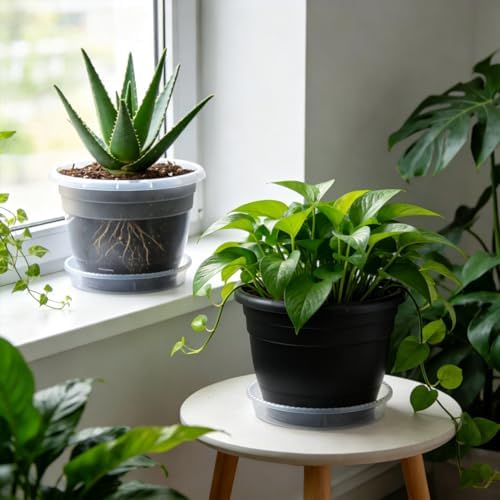 10 Pack 8 Inch Black Nursery Pots with Drainage Holes and Saucers - Image 5
