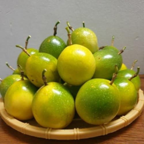 Yellow Passion Fruit Live Plant, Fully Rooted Fruit Vine, 5-7 Inch Tall - Image 4