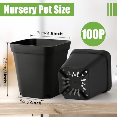 RooTrimmer 2.7 inch Seeds Starting Pots 100P with Carrying Trays and Water Collection Saucers 5 Sets - Image 3