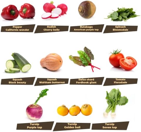 33 Variety Seed Bank Survival Gear 30,000 Premium Non-GMO Open Pollinated Heirloom Seeds Made in USA - Image 6