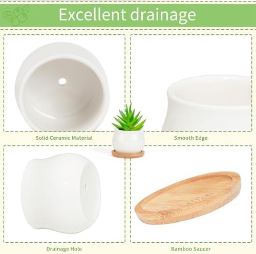 SHECIPIN Succulent Plant Pot, White Mini 2.6 inch Ceramic Flower Planter Pot with Bamboo Tray, Pack of 8 - Plants Not Included - Image 6