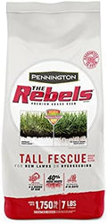 Pennington The Rebels Tall Fescue Grass Seeds for Lawn, 7 lb by Pennington