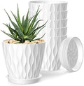 4 Inch Plant Pots, 6 Pack Indoor Flower Pots, Planters with Drainage Holes and Trays for Orchids, Violets, Succulents, Herbs, and Other Plants,White by SQKH