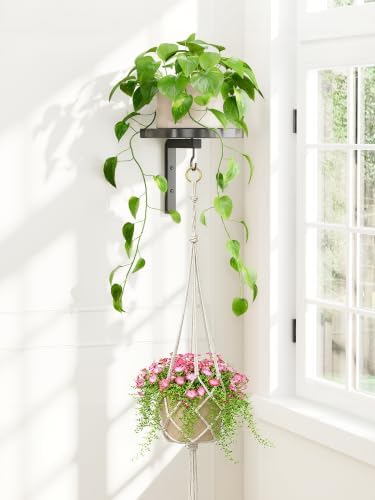 Wall Plant Holder with Macrame Hanger for Indoor Outdoor, Black by iDavosicly