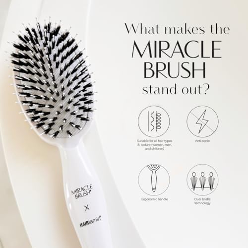 Hairtamin Hair Brush for All Hair Types | Paddle Brush for Blow Drying, Detangling, and Straightening | Anti-Static, Lightweight, and Ergonomic Design | Hair Brush for Men, Women, Kids, and Pets - Image 2