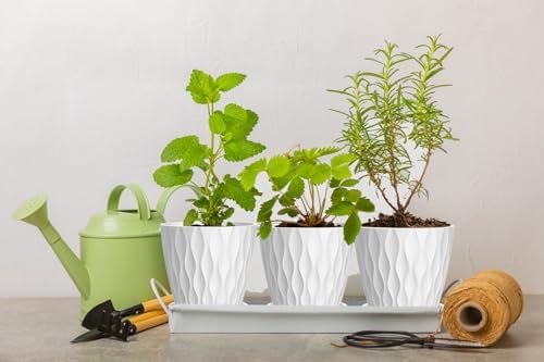 6 Inch Plant Pots, 6 Pack Indoor Flower Pots, Planters with Drainage Holes and Trays for Orchids, Violets, Succulents, Herbs, and Other Plants,White - Image 5