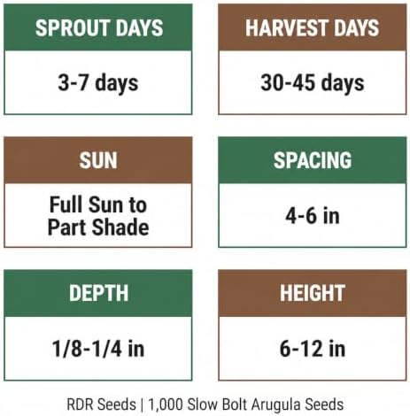 1000 Arugula Seeds for Planting - Slow Bolt Heirloom, Extended Harvest, Non-GMO, USA Grown by RDR Seeds - Image 4