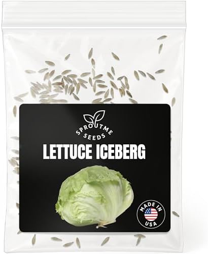 SproutMe Lettuce Iceberg 500+ Seeds for Planting, Heirloom Leaf Vegetable by SproutMeSeeds
