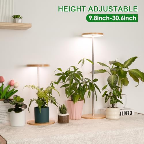 LORDEM Indoor Plant Light, Bamboo Desk Lamp with Timer - Image 2