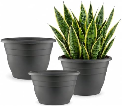 RooTrimmer 3 Pack 11 Inch Plant Pots with Drainage Hole and Plug,Plastic Flower Pots for Indoor & Outdoor Plants,Lightweight Plant Pots Perfect for Herbs,Flowers & Succulents(Gray) by RooTrimmer