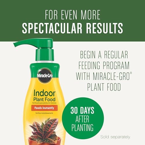 Miracle-Gro Houseplant Potting Mix, 4 qt. (Pack of 10) - Image 2